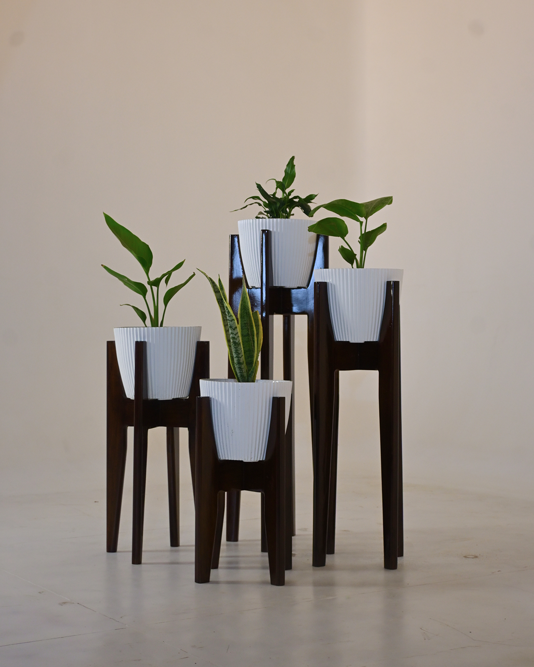 Zenith Plant Stand Collection
