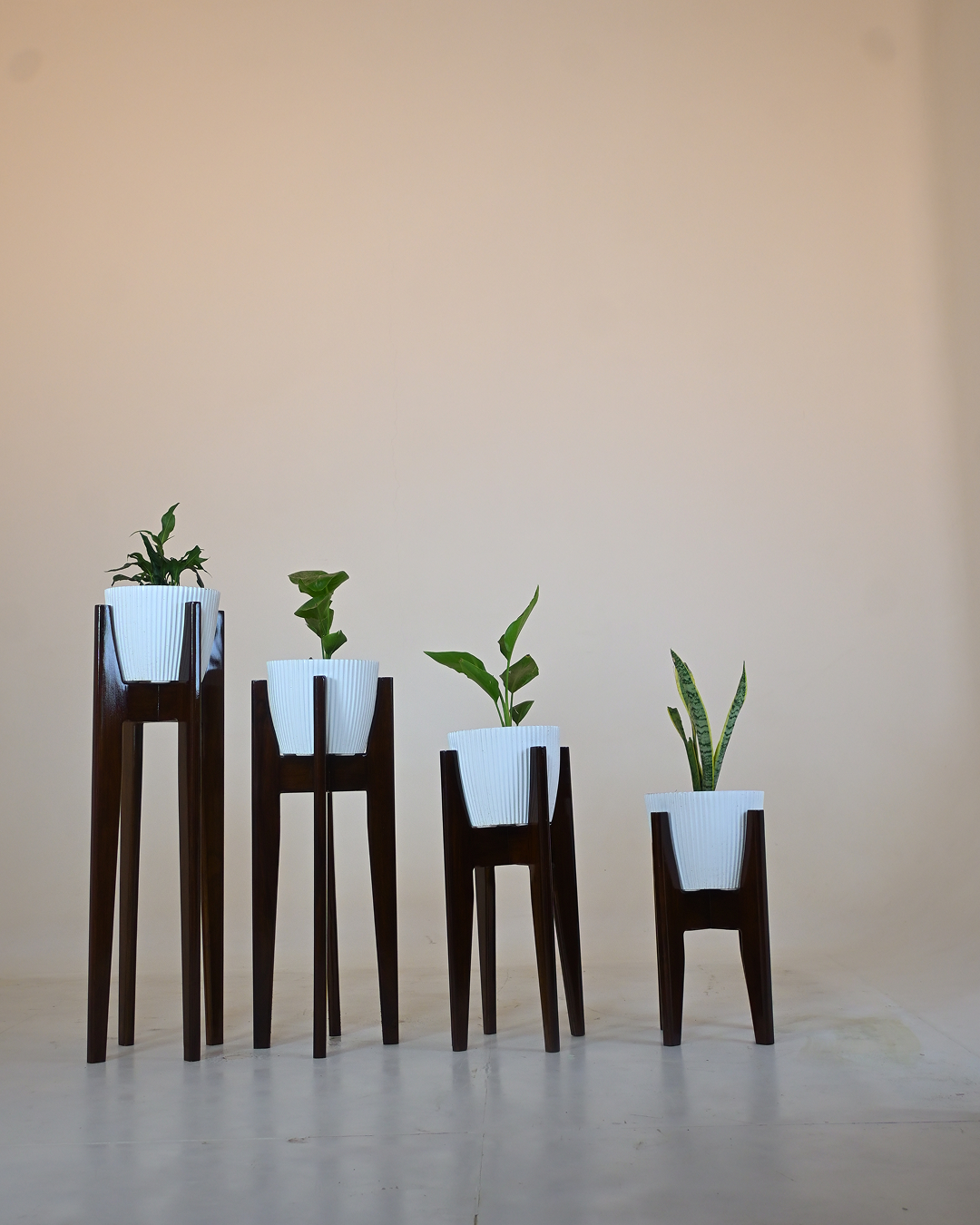 Zenith Plant Stand Collection