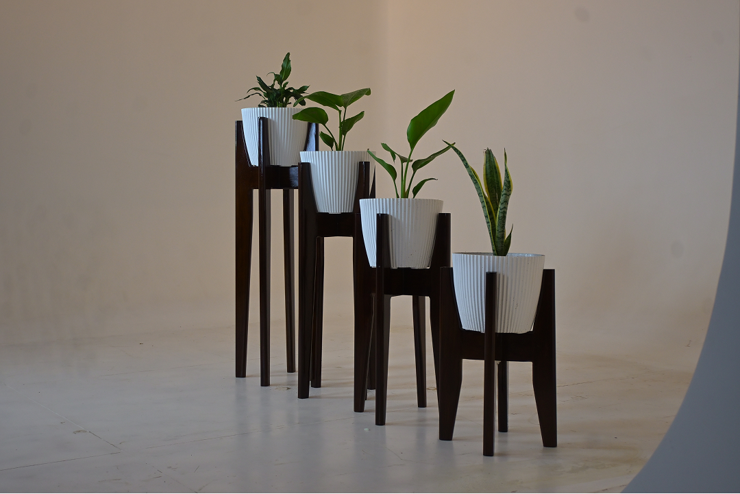 Zenith Plant Stand Collection