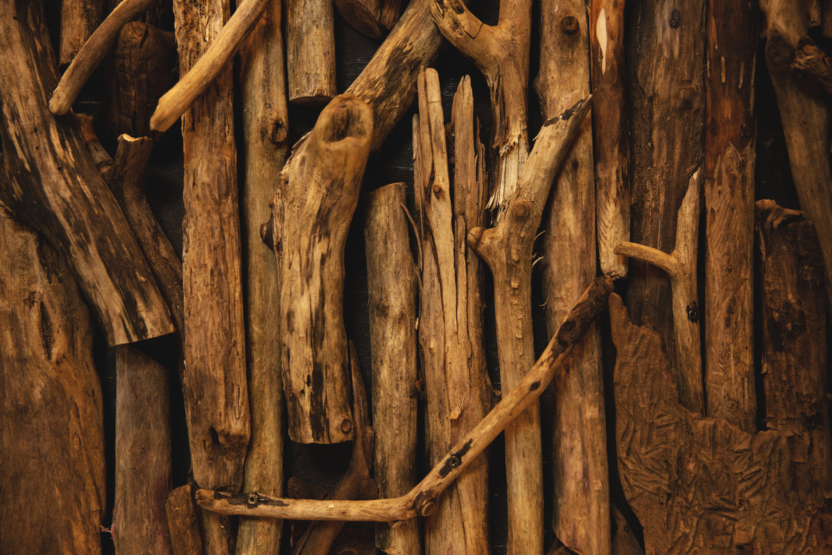 Mango Wood