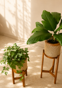 Ruhan Living Planter